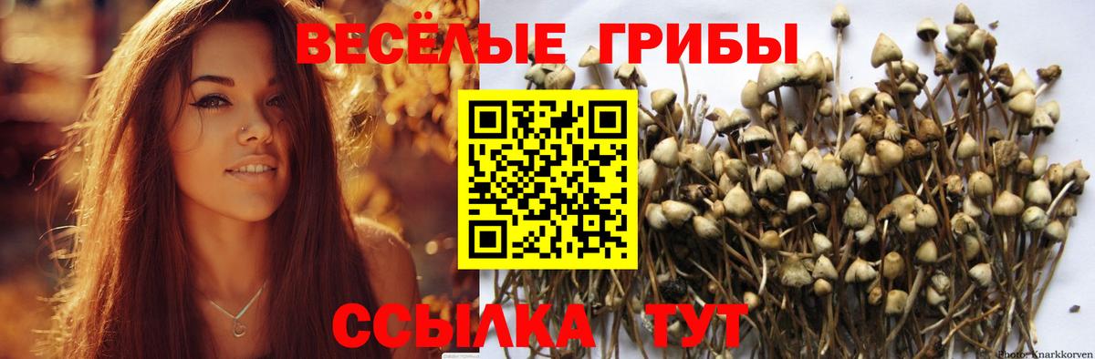 Арсеньев  Псилоцибиновые грибы Magic Shrooms  Вход с VPN  Псилоцибиновые грибы ЛСД 