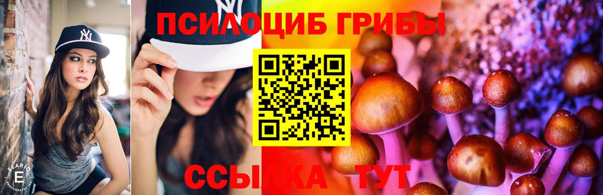 Псилоцибиновые грибы прущие грибы Арсеньев